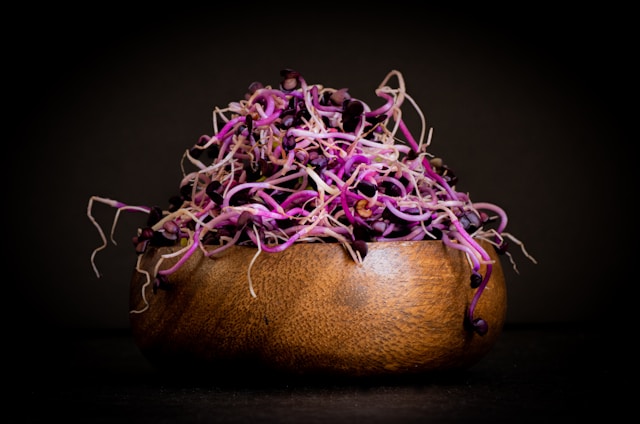 Articol Kerlomaventia